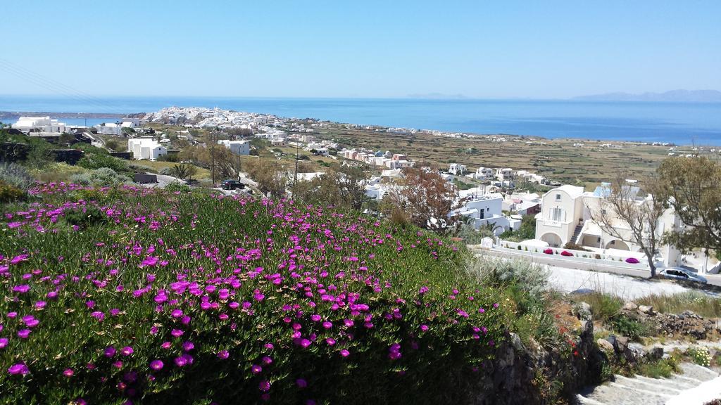 Alonistra Oia Houses Foinikiá Exterior photo
